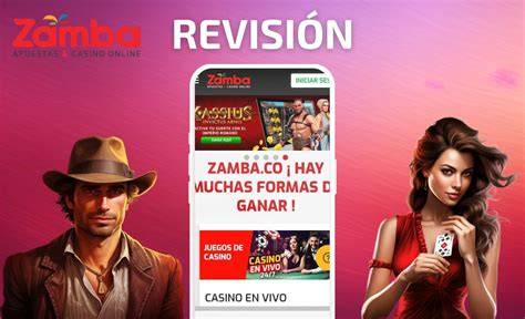 zamba app